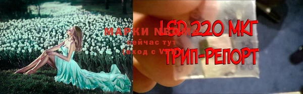 ALPHA-PVP Нефтекумск