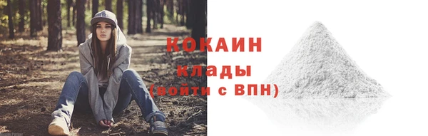 винт Переславль-Залесский