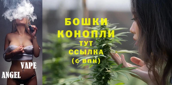 молекула духа Кинешма