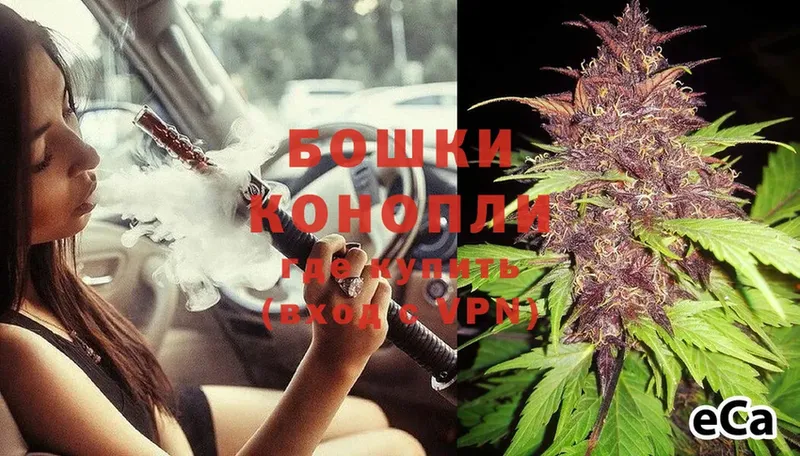 Бошки Шишки THC 21%  купить  цена  Агрыз 